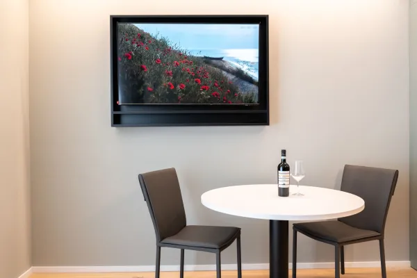 Arbed Living Hotel, Monolocale ammobiliato, Castione